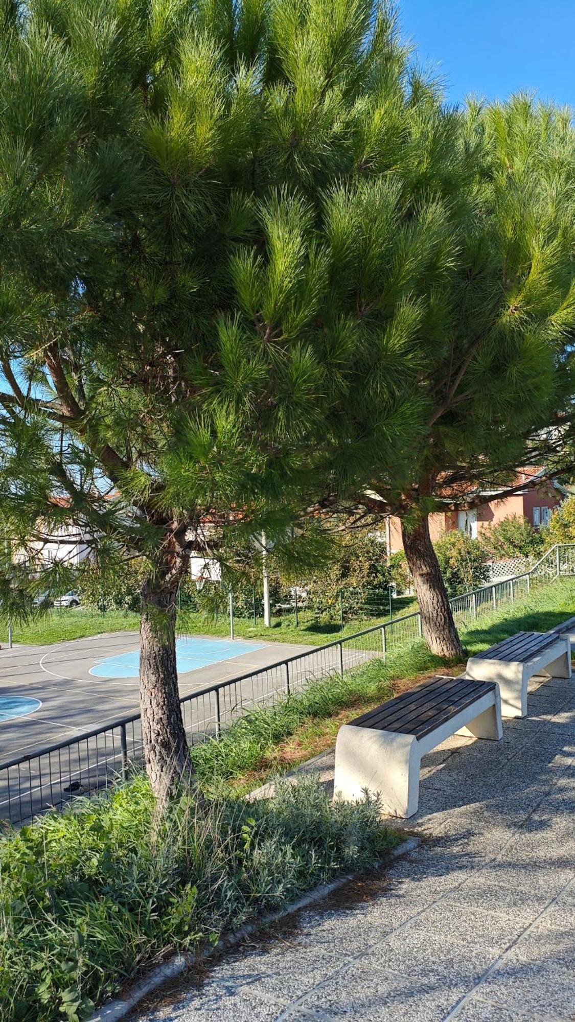 קופר Apartments Tomisic מראה חיצוני תמונה